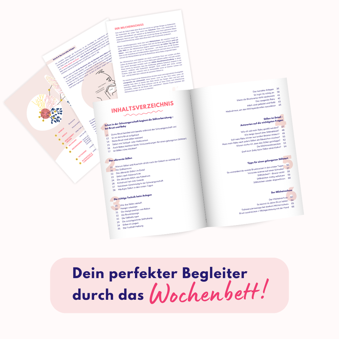 Ratgeber: Stillstart - Selbstbewusst stillen von Anfang an!